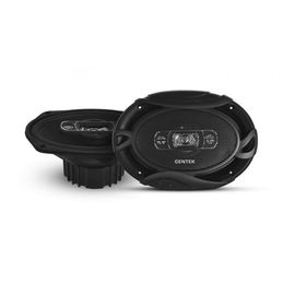  Автоколонки Centek CT-8301-69 