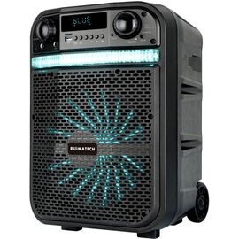  Акустическая система RUIMATECH VA-8610 