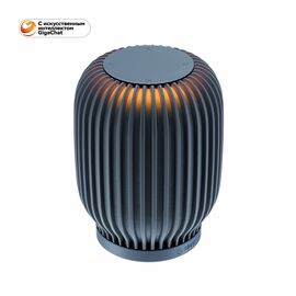 Акустическая система SBER серии SberBoom модели SBDV-00090, цвет темно-серый 