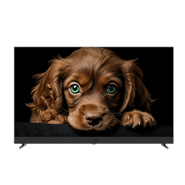  55" Телевизор Topdevice TDTV55DQ08UBK черный 3840x2160, 4K Ultra HD, 60 Гц, Wi-Fi, Smart TV, Google TV 