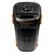  Портативная акустика напольная Dialog Oscar AO-150, микрофон BT (black) (216892) 