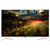  32" Телевизор ASANO 32LH7011T белый 1366x768, HD, 60 Гц, Wi-Fi, Smart TV, Android TV 