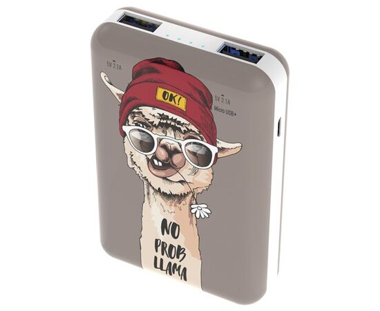  Внешний аккумулятор Ritmix RPB-10007 Lama 