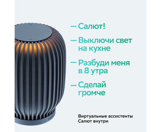  Акустическая система SBER серии SberBoom модели SBDV-00090, цвет темно-серый 