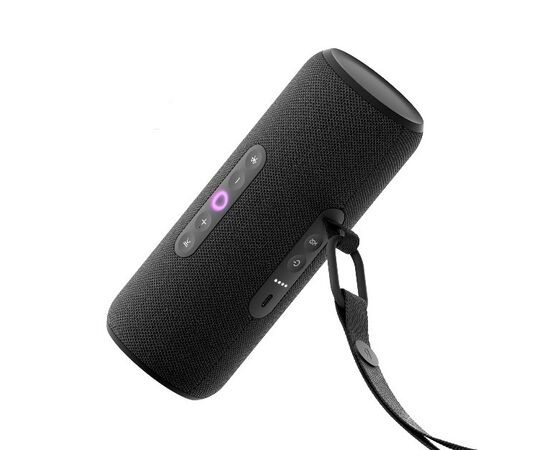  Яндекс Станция Стрит YNDX-00030BLK с Алисой, 30 Вт (чёрный) 