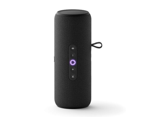  Яндекс Станция Стрит YNDX-00030BLK с Алисой, 30 Вт (чёрный) 
