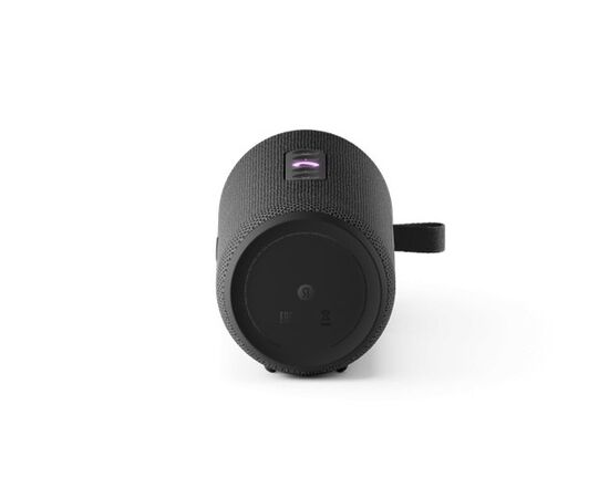  Яндекс Станция Стрит YNDX-00030BLK с Алисой, 30 Вт (чёрный) 