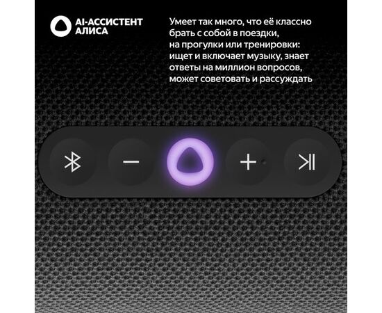  Яндекс Станция Стрит YNDX-00030BLK с Алисой, 30 Вт (чёрный) 