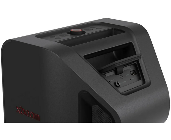  Портативная акустика LG Xboom Stage 301 черный 