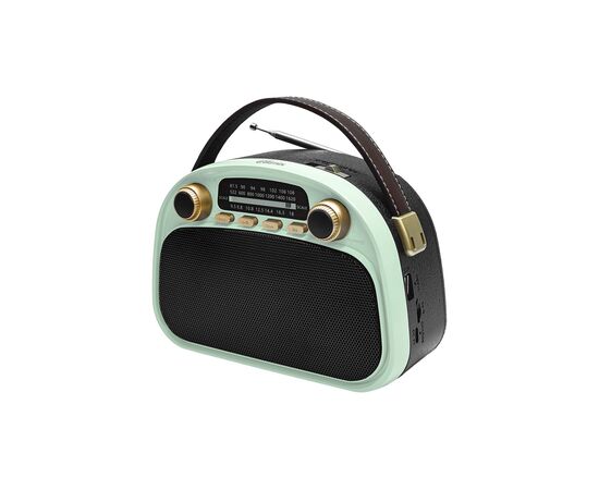  Радиоприемник Ritmix RPR-040 голубой 