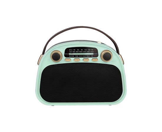  Радиоприемник Ritmix RPR-040 голубой 